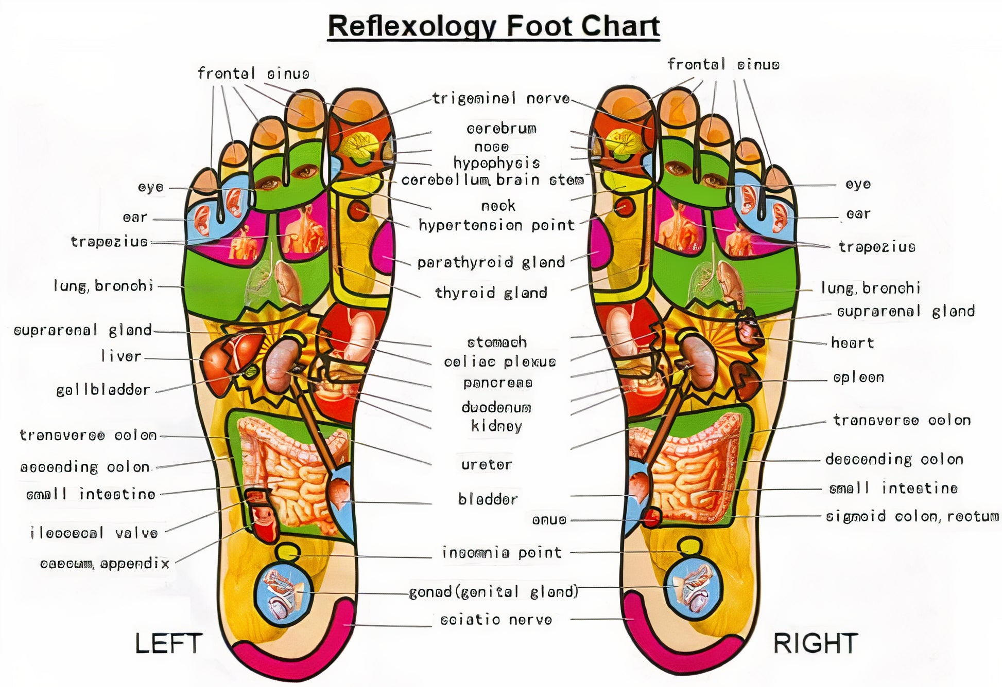 Deep Cleansing Foot Patch™